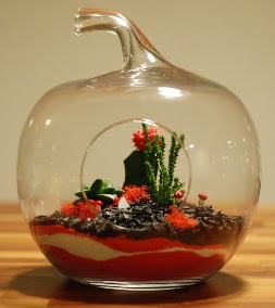 Elma Terrarium 3 kakts orta boy  Ankara Pursaklar 14 ubat sevgililer gn iek 