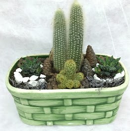 Seramik ierisinde 5 kaktsl terrarium  Ankara iek gnderme sitemiz gvenlidir 