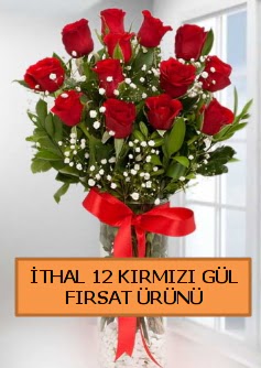  thal krmz 12 adet kaliteli gl  Ankara ucuz iek gnder 