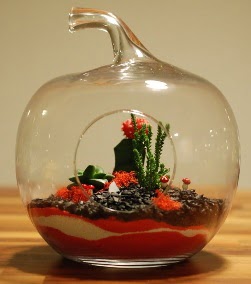 Elma Terrarium 3 kakts orta boy  Ankara Pursaklar 14 ubat sevgililer gn iek 